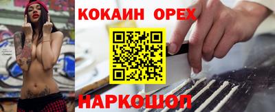 гидра Кандалакша