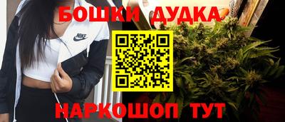 гидра Кандалакша