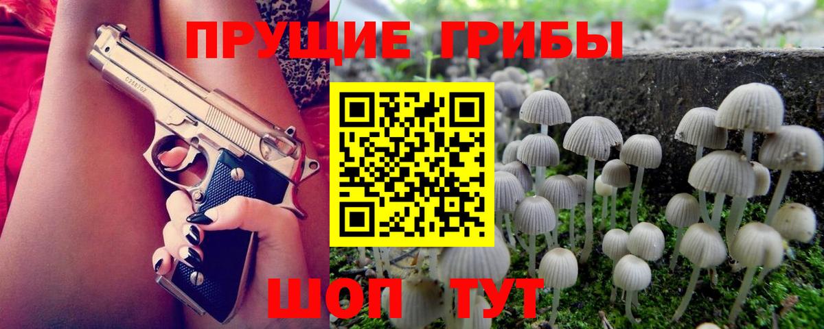 Псилоцибиновые грибы Magic Shrooms  Вход с VPN  закладка  Куйбышев 