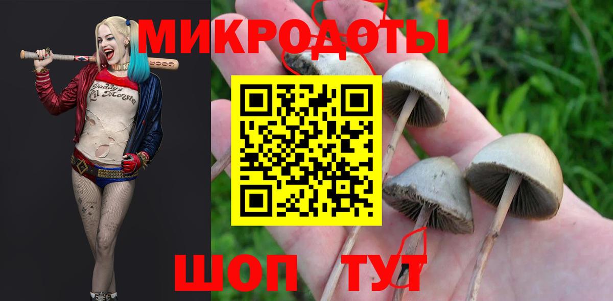Псилоцибиновые грибы Psilocybine cubensis Куйбышев