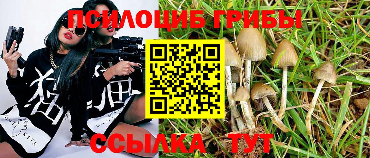 Галлюциногенные грибы GOLDEN TEACHER  Куйбышев 