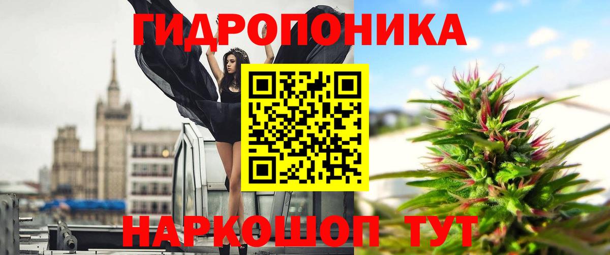 Марихуана семена  Марихуана THC 21%  Вход с VPN  Бошки марихуана Bruce Banner  Куйбышев 